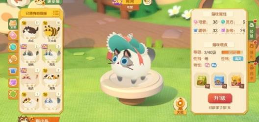 猫咪公寓2亲家怎么选？选错真要命：超实用攻略