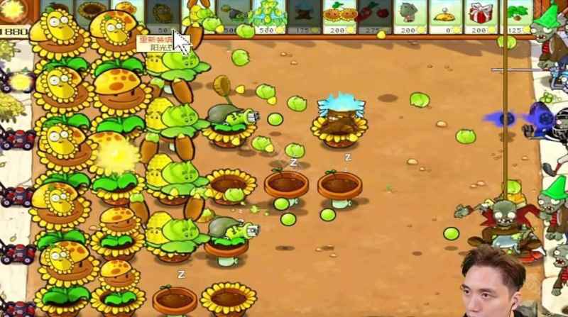 植物大战僵尸杂交版冒险模式第29关通关策略与心得