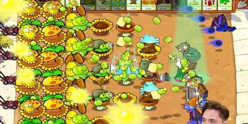 植物大战僵尸杂交版冒险模式第29关通关策略与心得