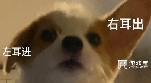 欢欢卤肉店：从卤肉到萌宠，一只小狗引发的网络热潮