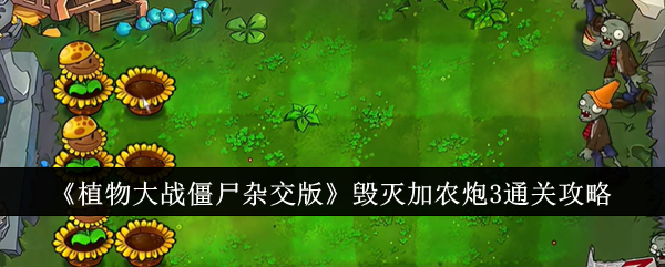 毁灭加农炮3通关心得：植物搭配与站位策略分享
