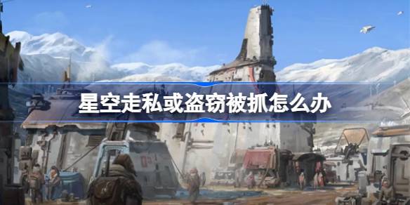 游戏星空走私或盗窃被抓的后果与应对策略