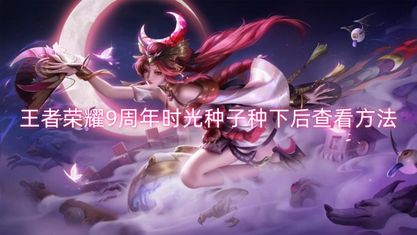 王者荣耀9周年时光种子怎么查看