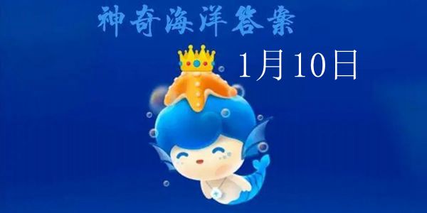 海蛇鼻孔的瓣膜：防止呛水的神奇设计