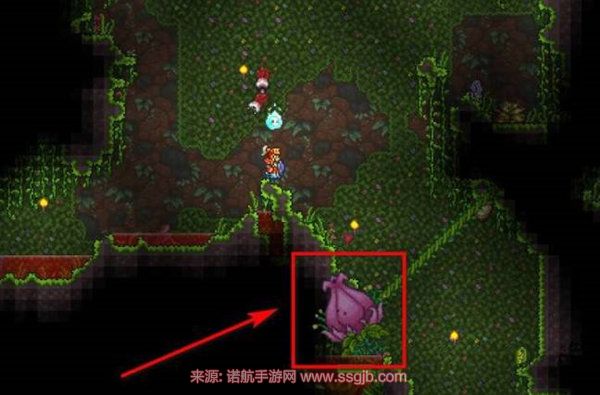 泰拉瑞亚星魂的获取与用途全解析