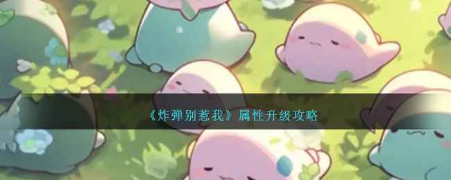 炸弹别惹我属性升级全攻略：策略搭配与深度解析