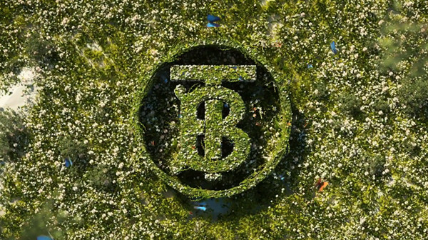 王者荣耀Burberry联名皮肤：谁是幸运的代言人？