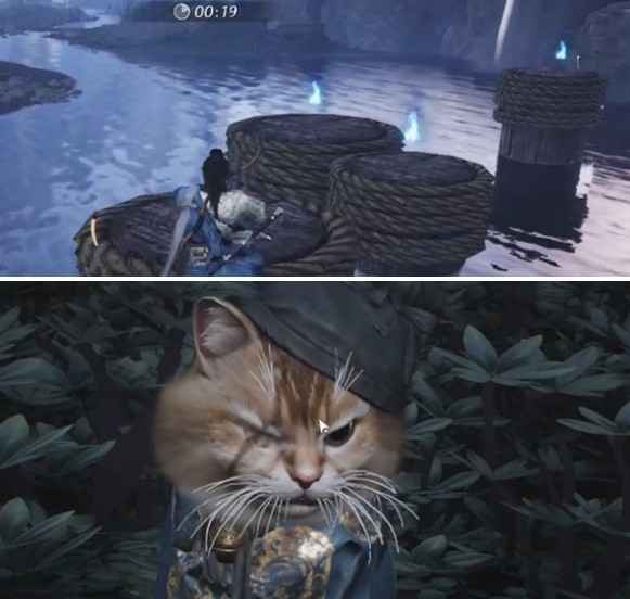 燕云十六声七阀坡猫咪收集全攻略