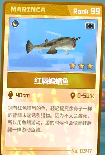 潜水员戴夫夜探蓝洞：捕捉红唇蝙蝠鱼全攻略