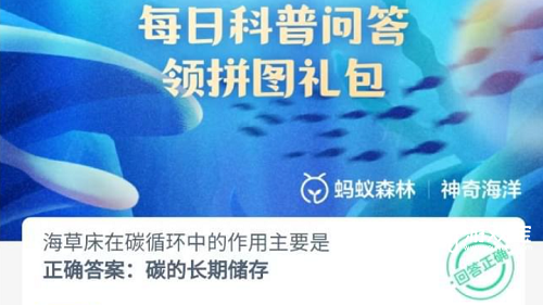 海草床：海洋中的“碳汇”宝库及其保护意义