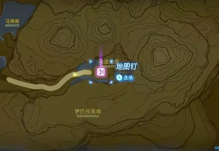 毅力胡萝卜的四个采集地点