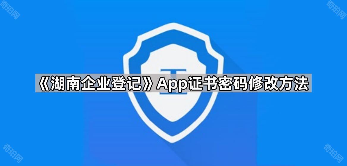 湖南企业登记证书密码重置全攻略