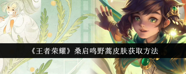 王者荣耀桑启鸣野蒿皮肤怎么拿到手？