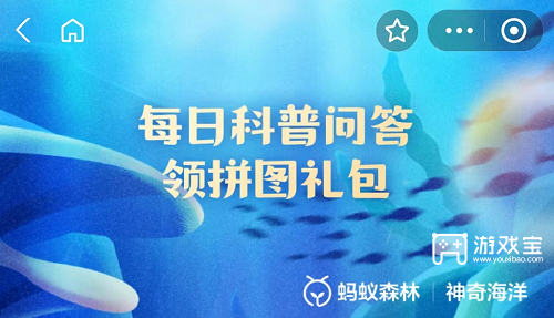 独角鲸之角：揭秘其生长位置与奥秘