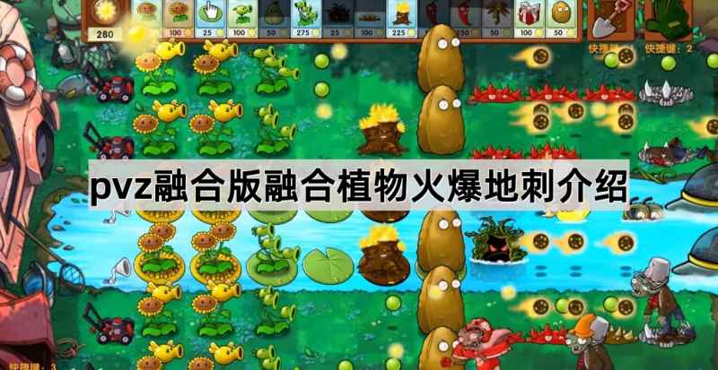 火爆地刺在《植物大战僵尸融合版》里到底有多强