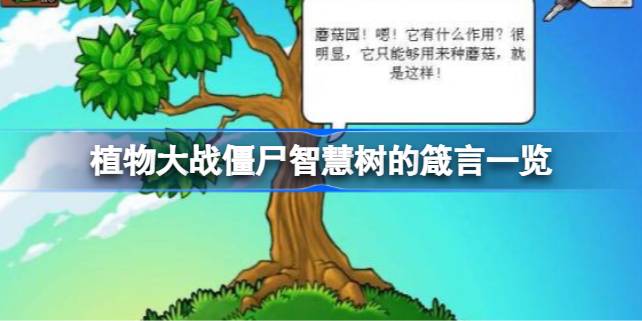 植物大战僵尸智慧树的秘密箴言