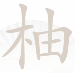 汉字找茬王通关秘籍：柚字关16个字全解析