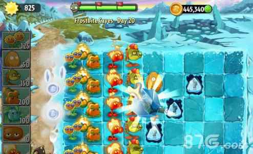 植物大战僵尸2冰河无尽通关攻略：能量豆管理与植物升级技巧