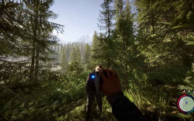 森林之子1%成就达成指南:如何收集1000钞票完成成就