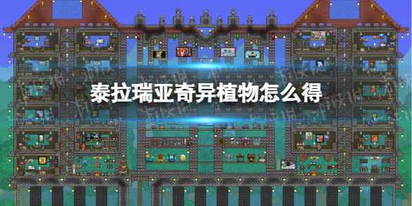 泰拉瑞亚奇异植物的获取秘籍