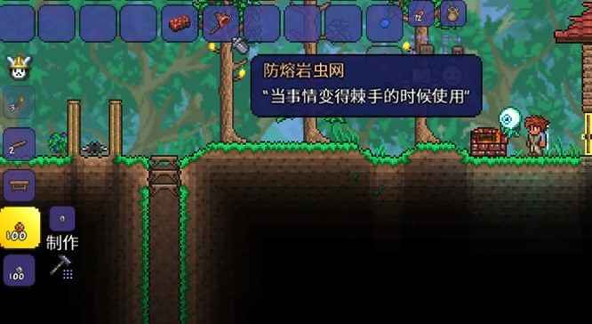 泰拉瑞亚捕虫网升级攻略：从普通到防熔岩，轻松捕捉宠物