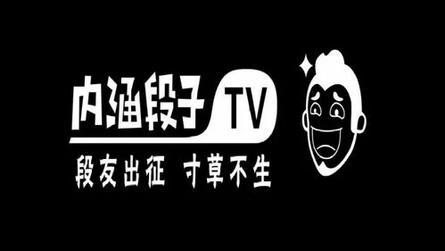 内涵段子为何被封,封禁时间与背后原因解析
